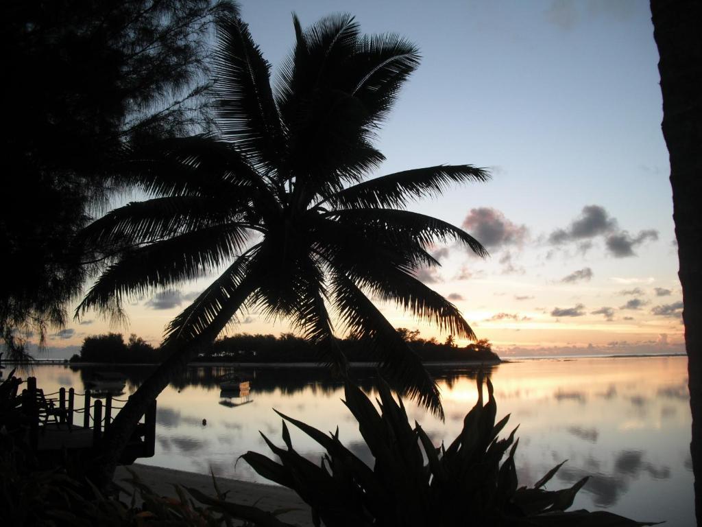 Muri Beachcomber Rarotonga Exteriör bild